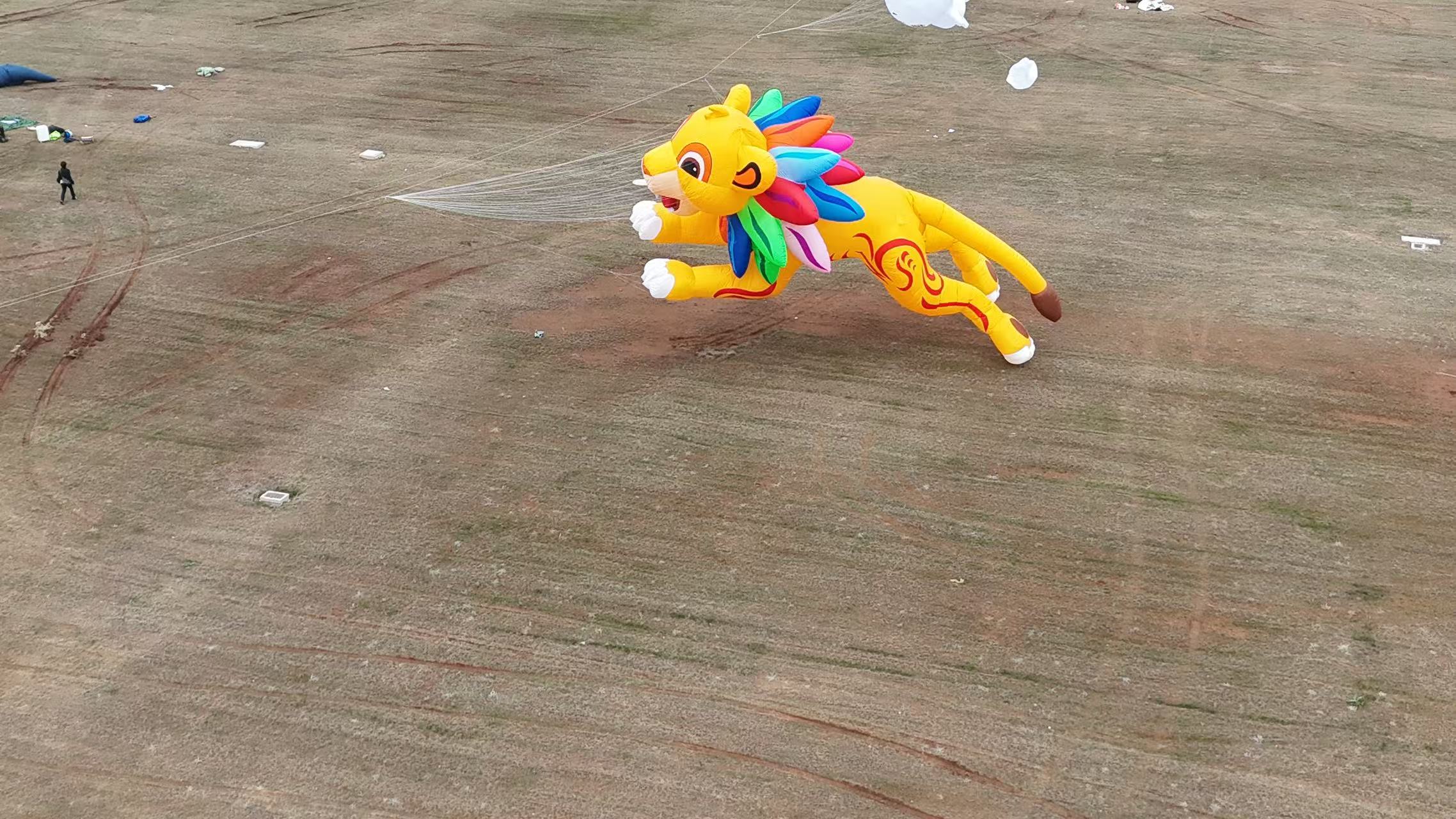 阳江市品牌风筝定制风筝批发 - 推荐
