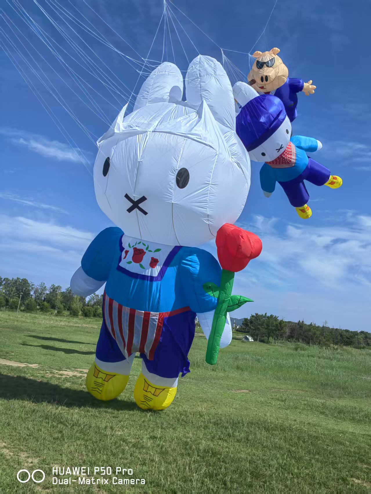 阳江市儿童风筝定制风筝商业放飞 - 方案