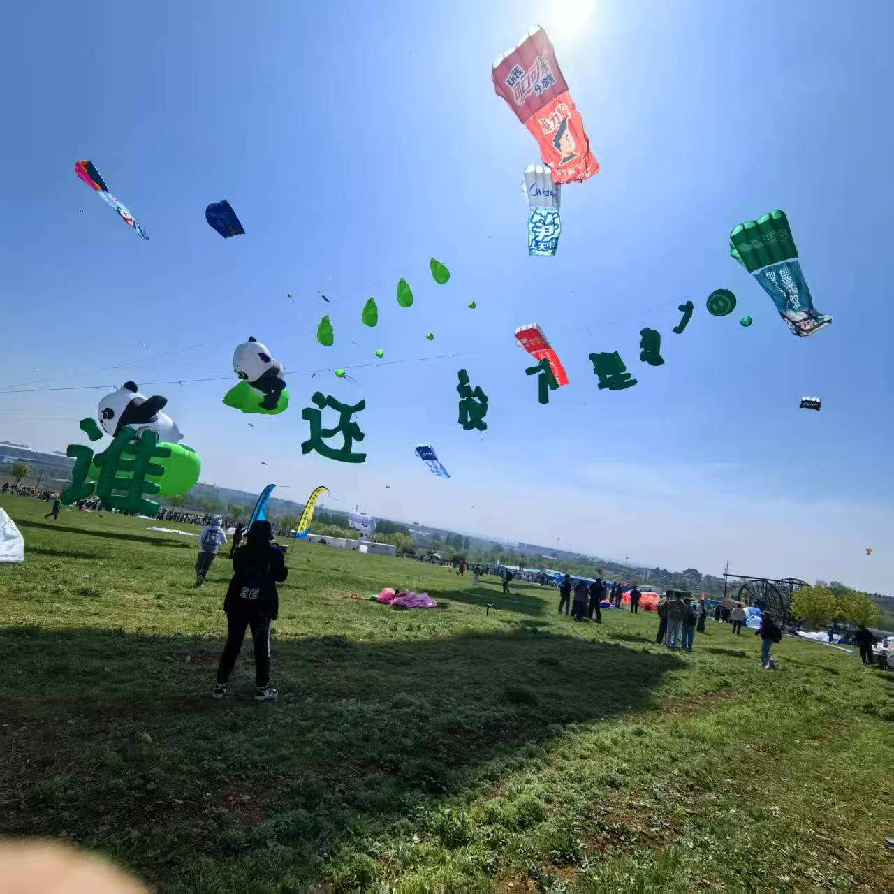 阳江市软体风筝定制风筝定制 - 排名